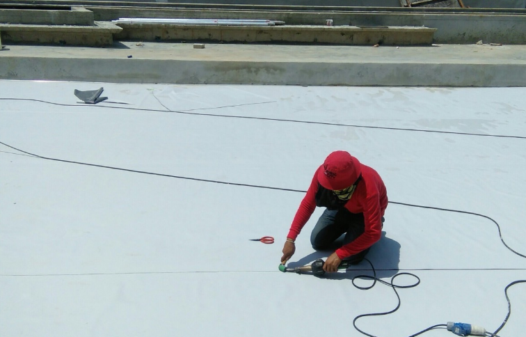 PROJECT: MAE FAH LUANG UNIVERSITY