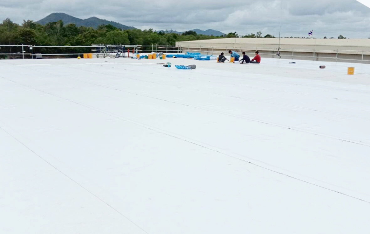 PROJECT: THAI AIRWAYS