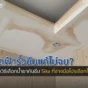 เบื่อปัญหารั่วซึมซ้ำซากบนดาดฟ้า? เจาะลึกวิธีเลือกผลิตภัณฑ์ Sika ให้ถูกงาน ทั้ง Sikalastic และ Sikaflex จบปัญหาหลังคารั่วและรอยแตกร้าวได้จริงฉบับมืออาชีพ