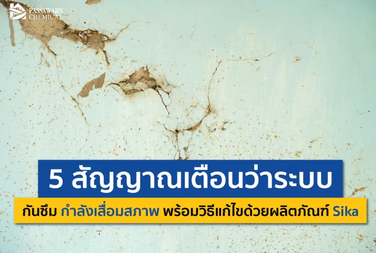 เช็กด่วน! 5 สัญญาณเตือนระบบกันซึมบ้านคุณกำลังพัง รอยร้าว คราบน้ำ สีลอกล่อน พร้อมวิธีแก้ไขถาวรด้วยผลิตภัณฑ์ Sika ที่ช่างมือโปรแนะนำ