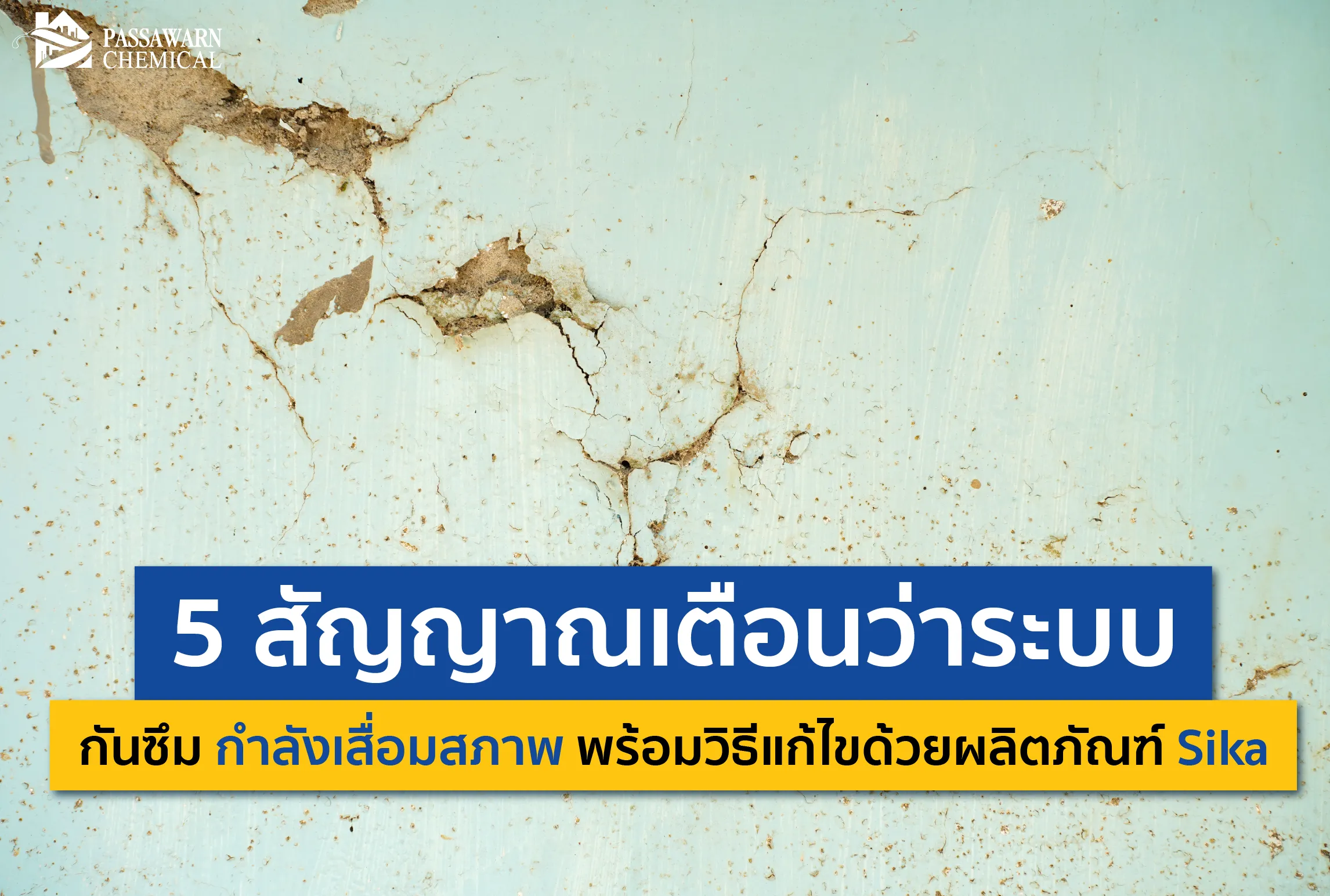 เช็กด่วน! 5 สัญญาณเตือนระบบกันซึมบ้านคุณกำลังพัง รอยร้าว คราบน้ำ สีลอกล่อน พร้อมวิธีแก้ไขถาวรด้วยผลิตภัณฑ์ Sika ที่ช่างมือโปรแนะนำ