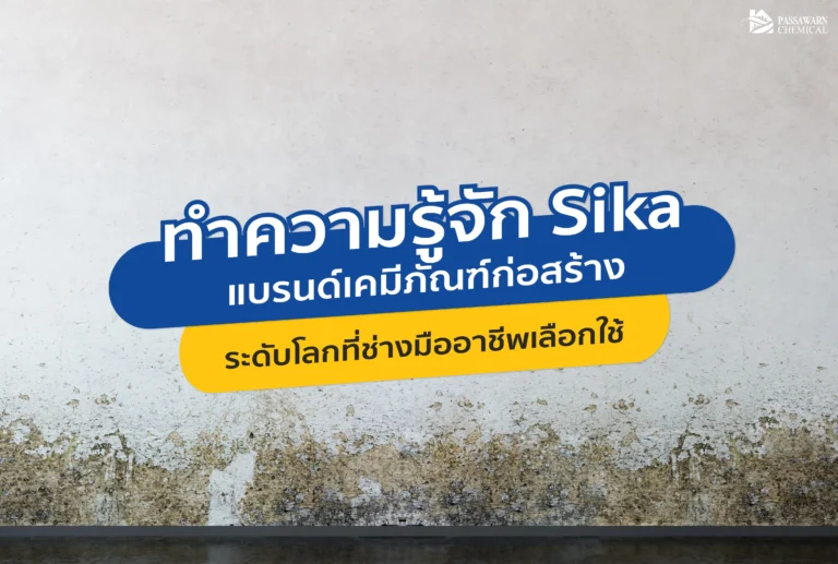 ทำไมช่างมืออาชีพถึงเลือก Sika? เจาะลึกแบรนด์เคมีภัณฑ์ก่อสร้างสวิตเซอร์แลนด์ ผู้นำนวัตกรรมกันซึม กาว และซีลแลนท์ จบทุกปัญหารั่วซึม ร้าว ทรุด ด้วยมาตรฐานระดับโลก