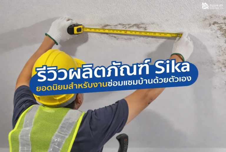 พบกับรีวิวเจาะลึก 4 ผลิตภัณฑ์ Sika ยอดฮิตที่ช่างแนะนำ! แก้ปัญหารั่วซึมดาดฟ้า ห้องน้ำ และรอยร้าวได้ด้วยตัวเอง ทำง่าย จบงานไว ไม่ต้องง้อช่าง อ่านเลยที่นี่