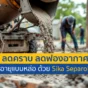 งานหล่อคอนกรีตไม่สวย มีฟองอากาศ ไม้แบบพังไว? จบปัญหาด้วย Sika Separol TH น้ำยาทาแบบคุณภาพสูง ช่วยลดคราบ ถอดแบบง่าย ยืดอายุการใช้งาน อ่านเคล็ดลับที่นี่!