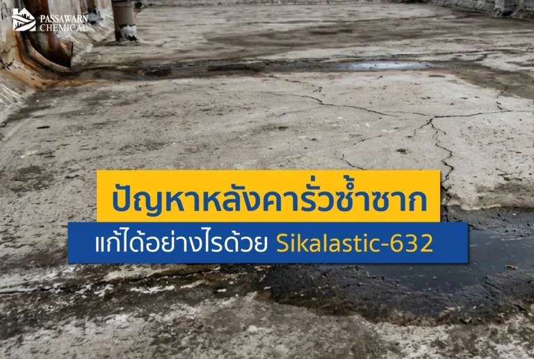 ปวดหัวกับปัญหาหลังคารั่วซ้ำซาก? ค้นพบวิธีแก้ปัญหาดาดฟ้ารั่วแบบถาวรด้วย Sikalastic 632 กันซึมโพลียูรีเทน 100% ทนน้ำขัง ยืดหยุ่นสูง จบงานเนี๊ยบ อ่านเลย!