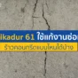 ปัญหาคอนกรีตแตกร้าวแก้ไม่จบ? มาดูวิธีใช้ Sikadur 61 กาวอีพ็อกซี่ซ่อมโครงสร้าง ว่าเหมาะกับงานซ่อมรอยร้าวแบบไหนบ้าง ให้บ้านกลับมาแข็งแรง ทนทาน เจ็บแต่จบ!
