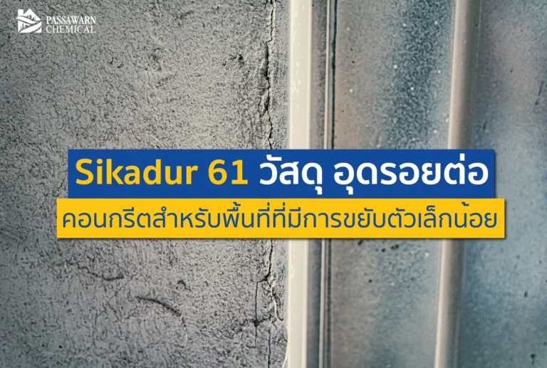 รอยต่อคอนกรีตแตกซ้ำซาก? ทำความรู้จัก Sikadur 61 วัสดุอุดรอยต่อชั้นเซียน ที่ออกแบบมาเพื่อพื้นที่ที่มีการขยับตัว ทนทาน ยืดหยุ่น แข็งแกร่ง จบปัญหาถาวร!
