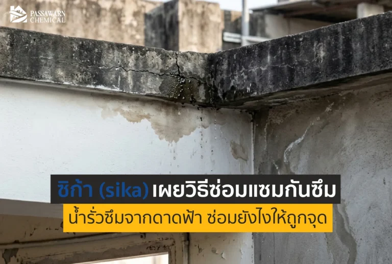 ดาดฟ้ารั่วแก้ไม่หาย? มาดูวิธีซ่อมแซมกันซึมดาดฟ้าที่ ซิก้า (Sika) แนะนำ เจาะลึกขั้นตอนและเลือกผลิตภัณฑ์ให้ถูกจุด จบปัญหาน้ำรั่วซึมถาวร ไม่ง้อช่างบ่อย!