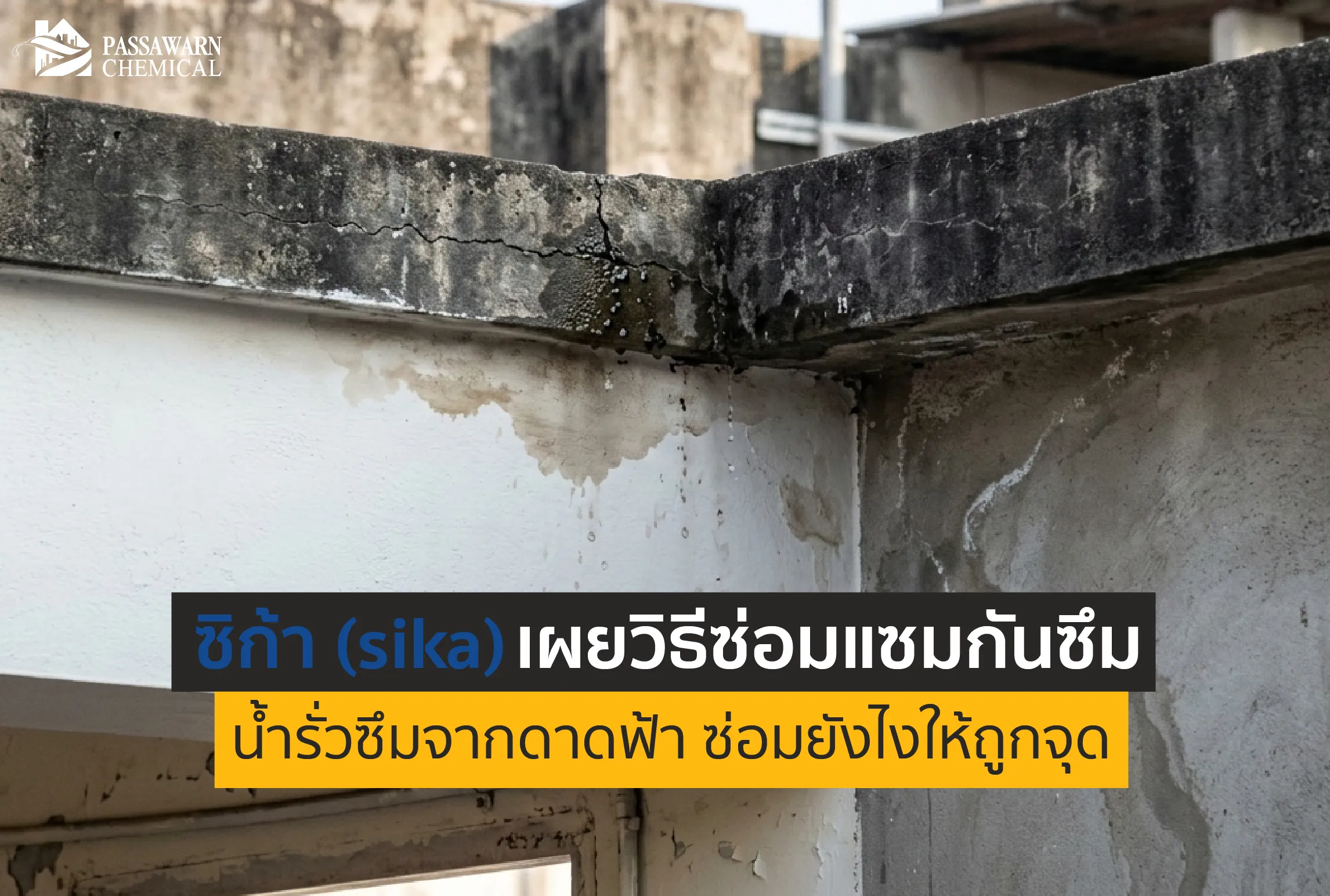 ดาดฟ้ารั่วแก้ไม่หาย? มาดูวิธีซ่อมแซมกันซึมดาดฟ้าที่ ซิก้า (Sika) แนะนำ เจาะลึกขั้นตอนและเลือกผลิตภัณฑ์ให้ถูกจุด จบปัญหาน้ำรั่วซึมถาวร ไม่ง้อช่างบ่อย!