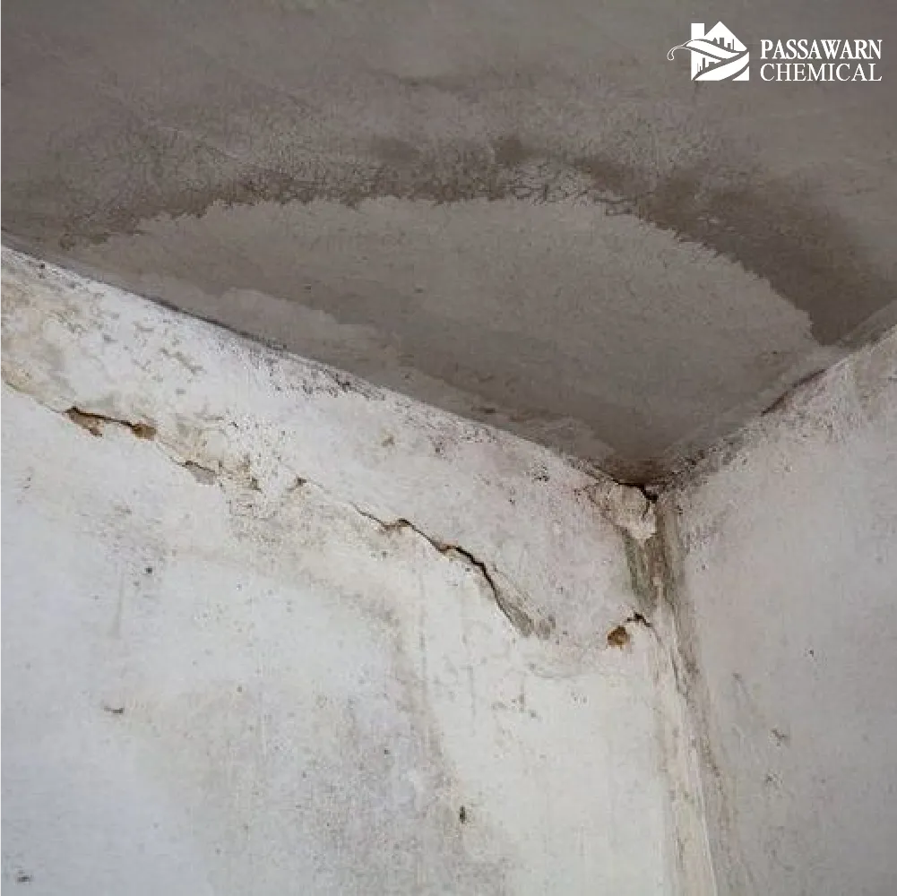 ทำความเข้าใจแรงดันน้ำ: ทำไมเอาสีทาบ้านมาทำ กันซึม ด้านในถึงพัง?