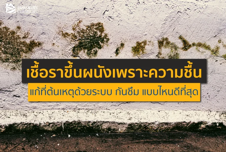 ปัญหาเชื้อราขึ้นผนัง สีลอกล่อน แก้ยากถ้าไม่แก้ที่ต้นเหตุ! เจาะลึกวิธีเลือกระบบ กันซึม ที่ดีที่สุด บล็อกความชื้นถาวร ให้บ้านกลับมาสวยและปลอดภัย อ่านเลย!