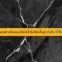คอนกรีตแตกร้าวและมีน้ำซึม แก้อย่างไร? แนะนำวัสดุอุดรอยร้าวและระบบ กันซึม ที่ช่างมืออาชีพเลือกใช้ ซ่อมจบ ไม่รั่วซ้ำ อ่านวิธีแก้ปัญหาที่นี่!