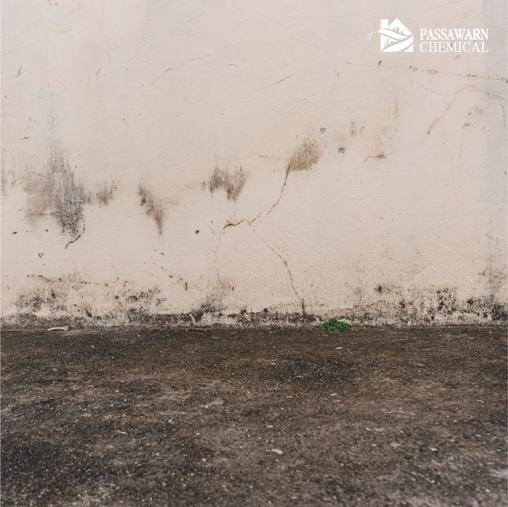 ซ่อมรอยต่อห้องน้ำแก้ น้ำซึม ใช้วัสดุแบบไหนถึงจะเอาอยู่?