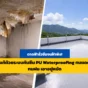 ดาดฟ้ารั่วซึมจนฝ้าพังใช่ไหม? เจาะลึกวิธีแก้ปัญหาด้วยระบบ กันซึม PU Waterproofing ที่ทนแดด ทนฝน ทนน้ำขัง 100% ซ่อมดาดฟ้าครั้งนี้ให้เจ็บแต่จบ อ่านเลย!