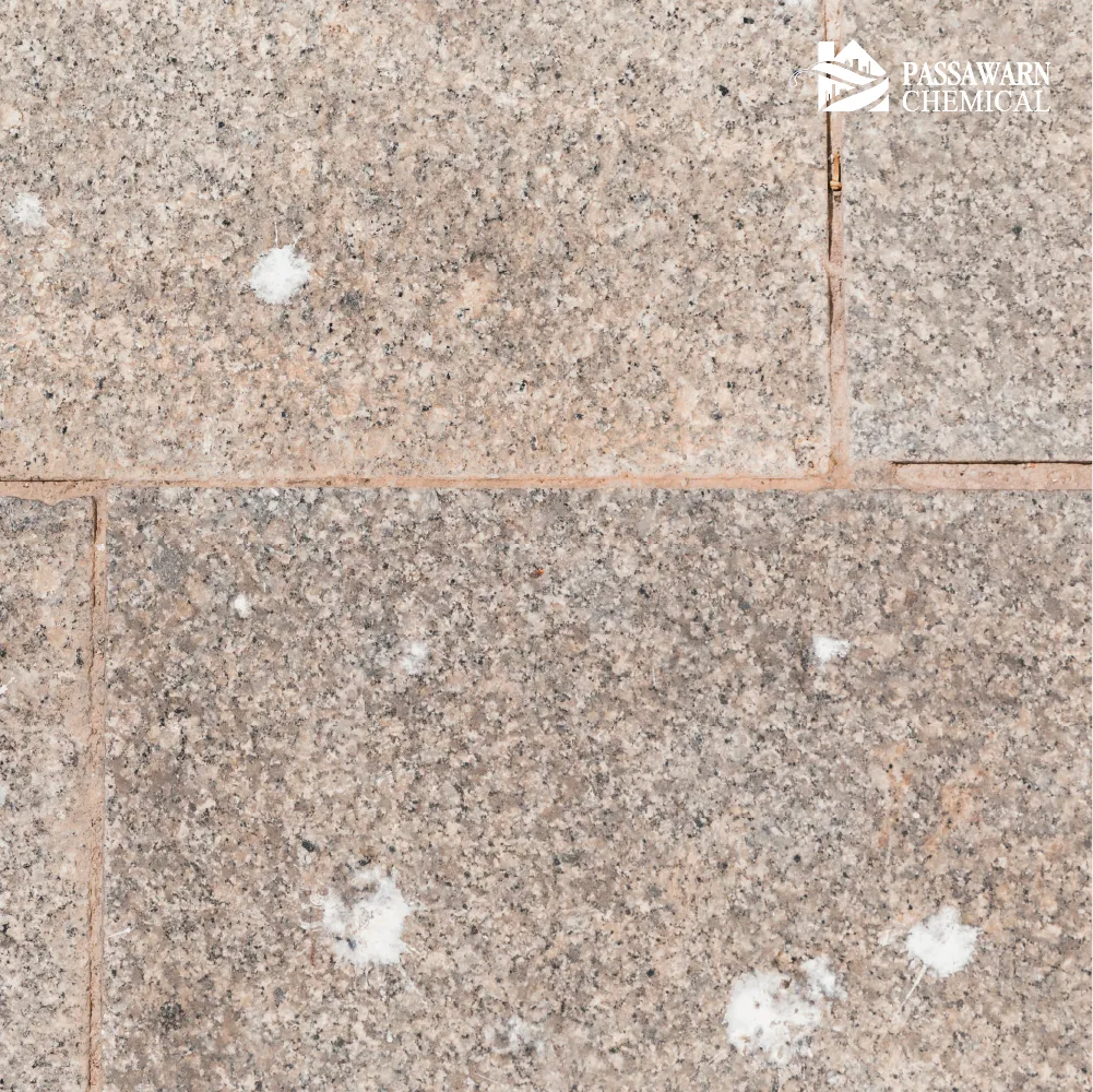 ทำไมรอยต่อพื้น-ผนัง ถึงเป็นจุดเสี่ยงที่เกิดปัญหา น้ำซึม บ่อยที่สุด?