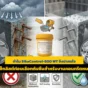 เทคอนกรีตโครงสร้างหนา (Mass Concrete) ระบบกันซึมต้องเป๊ะ! แจกเช็กลิสต์ก่อนเลือกวัสดุ และเจาะลึกทำไม Sika Control-500 WT ถึงเป็นตัวช่วยที่วิศวกรแนะนำ