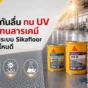 เลือก Sikafloor สำหรับพื้นกันลื่น ทน UV และทนสารเคมี ให้เหมาะกับโรงงาน ลานจอดรถ พื้นเปียก และพื้นที่ใช้งานหนัก