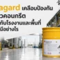 Sikagard เคลือบป้องกันพื้นผิวคอนกรีต ช่วยทนสารเคมี กันของเหลวซึม เหมาะกับโรงงาน พื้นที่สารเคมี ถังเก็บ และบ่อบำบัด