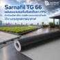 Sarnafil TG 66 แผ่นเมมเบรนกันซึมหลังคา FPO สำหรับหลังคาเขียว ดาดฟ้า และระบบถ่วงน้ำหนัก ทน UV รากพืช และสภาพอากาศ