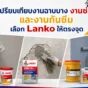 Lanko เลือกให้ตรงงาน ทั้งงานฉาบบาง งานซ่อม และงานกันซึม แก้ผนังไม่เรียบ รอยแตก และปัญหาน้ำรั่วซึมได้เหมาะจุด