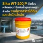 Sika WT-200 P สารผสมคอนกรีตกันน้ำคุณภาพสูง ลดการซึมผ่านของน้ำ เหมาะกับโครงสร้างใต้ดิน บ่อบำบัดน้ำเสีย ถังน้ำ และงานคอนกรีตกันซึม