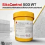 SikaControl 500 WT สารผสมคอนกรีตกันซึมแบบผลึก ช่วยลดน้ำซึม เพิ่มความทึบน้ำ และเสริมความทนทานต่อสภาพแวดล้อมที่มีสารเคมี