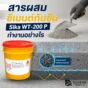 อธิบายการทำงานของ Sika WT-200 P สารผสม ซีเมนต์กันซึม แบบผลึก ช่วยลดการซึมผ่านของน้ำ เพิ่ม self-healing และความทนทานคอนกรีต