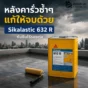 หลังคารั่วซ้ำแก้อย่างไรให้จบ รู้จัก Sikalastic 632 R เมมเบรนกันซึม PU แบบทาเคลือบ แห้งไว ไร้รอยต่อ เหมาะกับงานซ่อมหลังคา