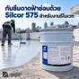 รีโนเวทดาดฟ้าเก่าที่มีน้ำซึม ใช้ Silcor 575 เมมเบรน PU กันซึมแบบไร้รอยต่อ ทนน้ำขัง เหมาะกับงานซ่อมและปรับปรุง Roof Deck
