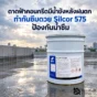 ดาดฟ้าคอนกรีตมีน้ำขังหลังฝนตก เสี่ยงเกิดรอยรั่วและน้ำซึม รู้จักระบบกันซึม Silcor 575 สำหรับ Roof Deck ที่ทนน้ำขังและสร้างเมมเบรนต่อเนื่อง